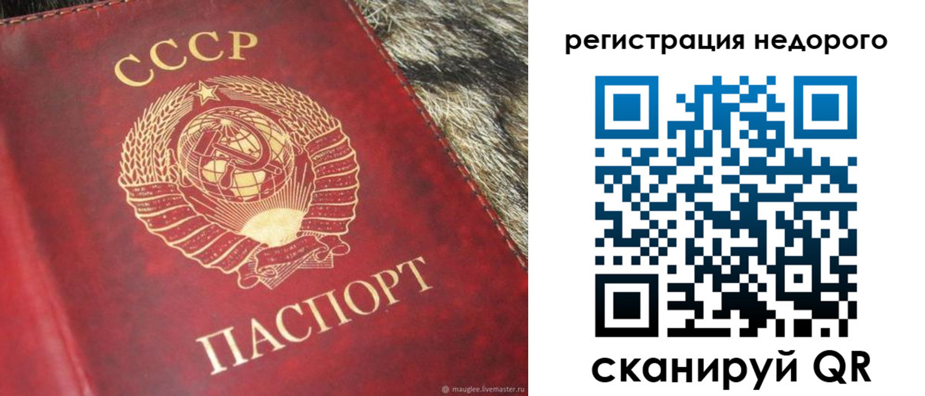прописка ребенка в Нововоронеже